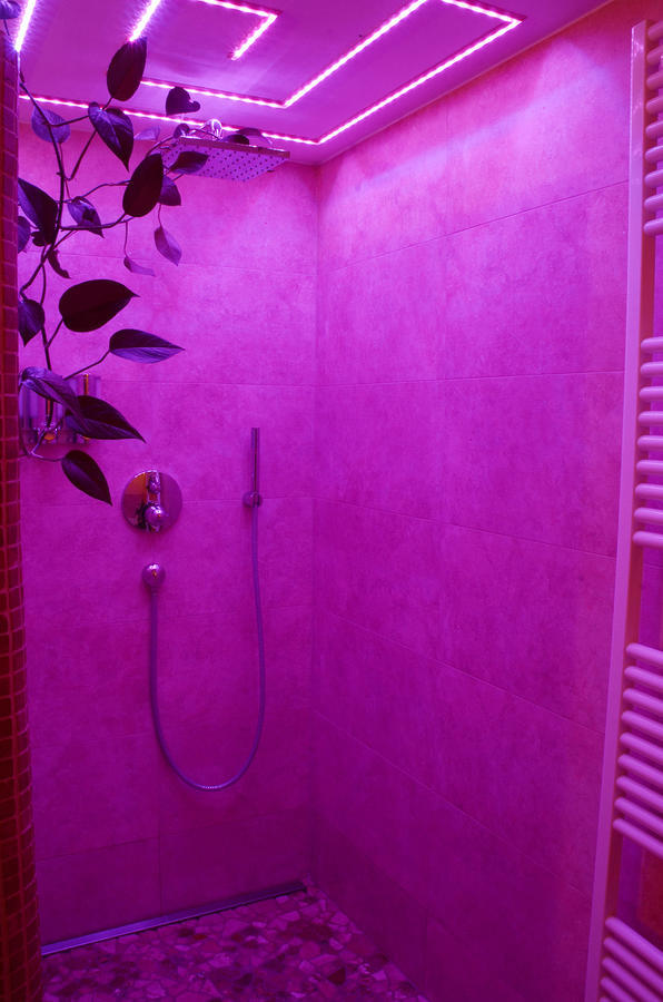 Suite Sinja Erlebnisferienwohnung ハウスハム エクステリア 写真